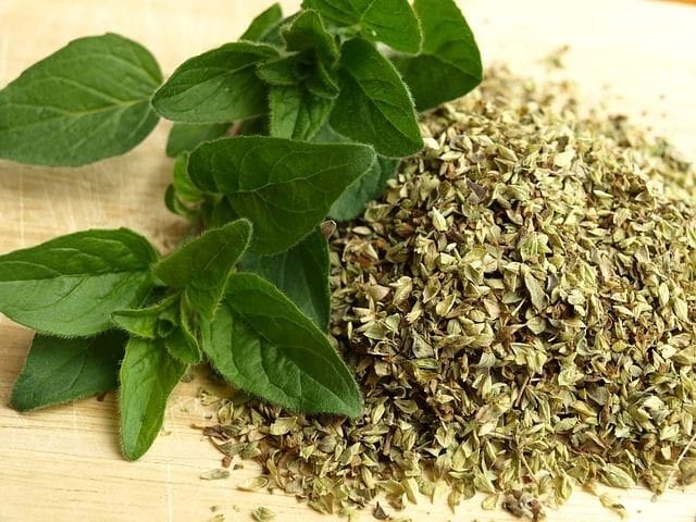 Re Constituted Oregano Oil